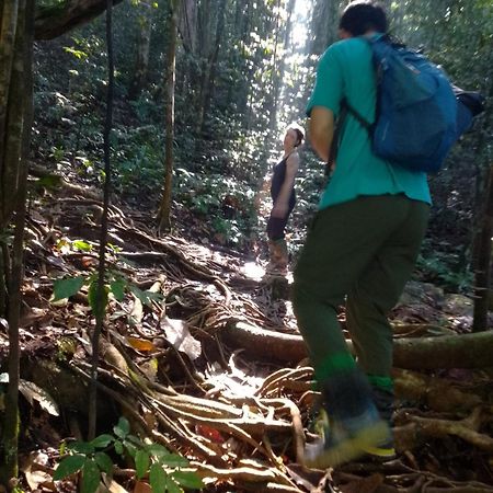 Rainforest River Edge Deniyaya Zewnętrze zdjęcie