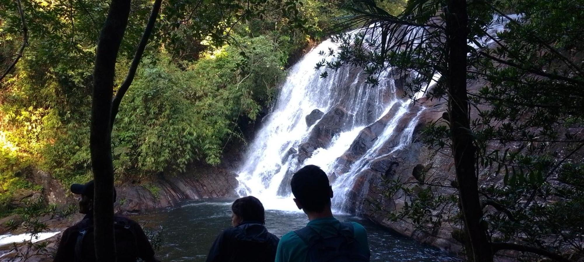 Rainforest River Edge Deniyaya Zewnętrze zdjęcie