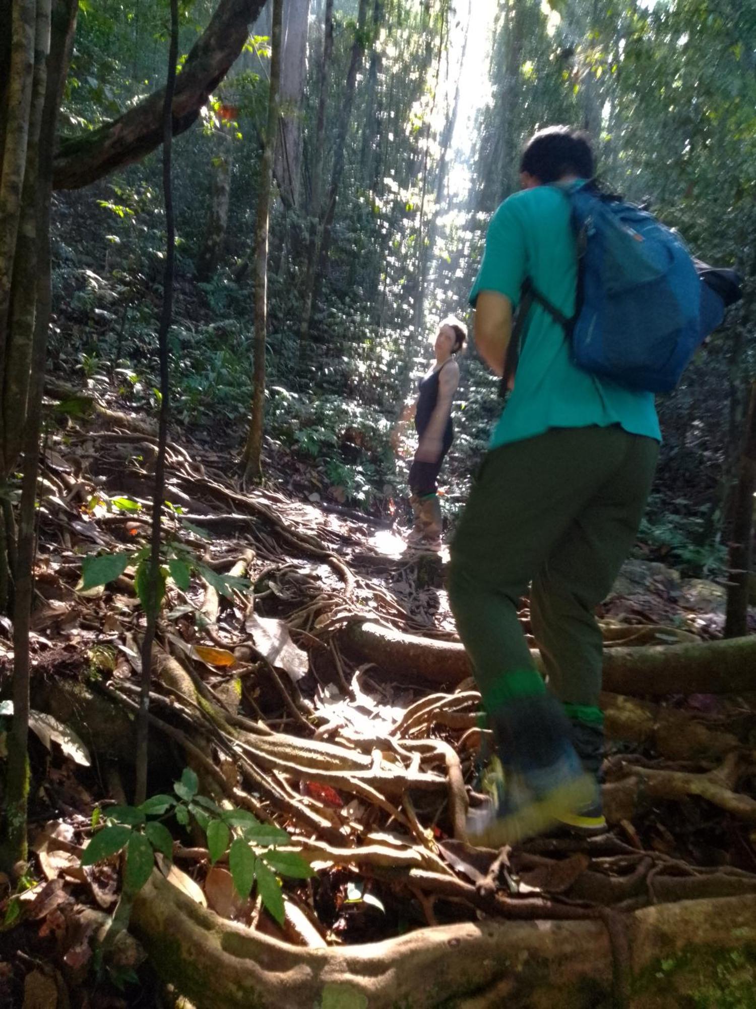 Rainforest River Edge Deniyaya Zewnętrze zdjęcie